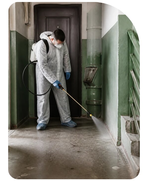 Обработка подъезда от тараканов в Благовещенске — от 5193 р. | Сенат-Бгв